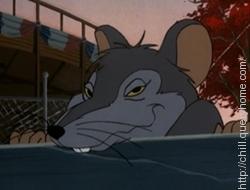 Templeton is a rat in 'Charlotte's Web'.